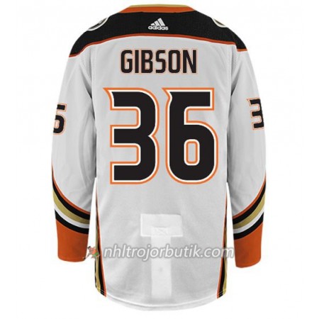 Män Ishockey Anaheim Ducks Tröja JOHN GIBSON 36 Adidas Vit Authentic
